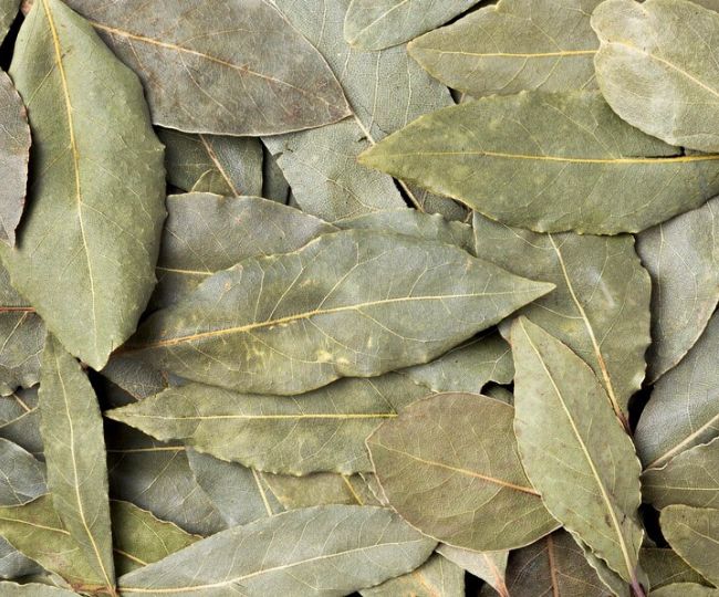 Bay Leaves Benefits कब्ज और एसिडिटी की छुट्टी कर देगा तेजपत्ता! जानिए